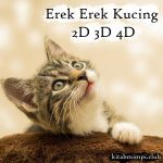 Erek Erek Kucing 2D 3D 4D Lengkap Dengan Angka Mistik