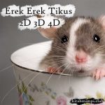 Erek Erek Tikus 2D 3D 4D Lengkap Dengan Angka Mistik