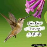 Erek Erek Burung 2D 3D 4D Lengkap Dengan Angka Mistik