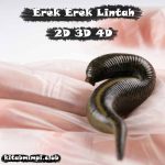 Erek Erek Lintah Lengkap Disertai Angka Mistik 2D 3D 4D